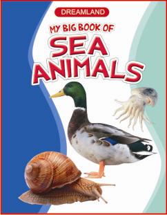 My big book of sea animals